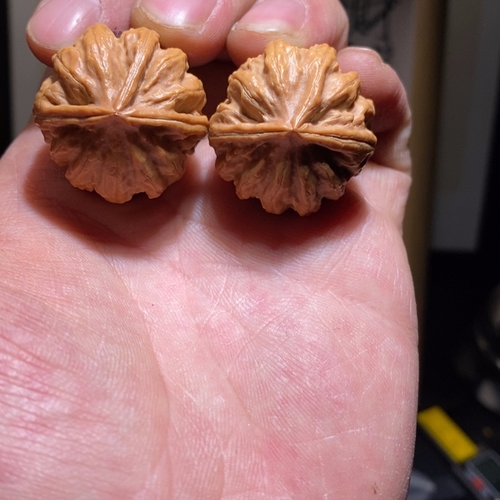 文玩核桃把件17一物一图