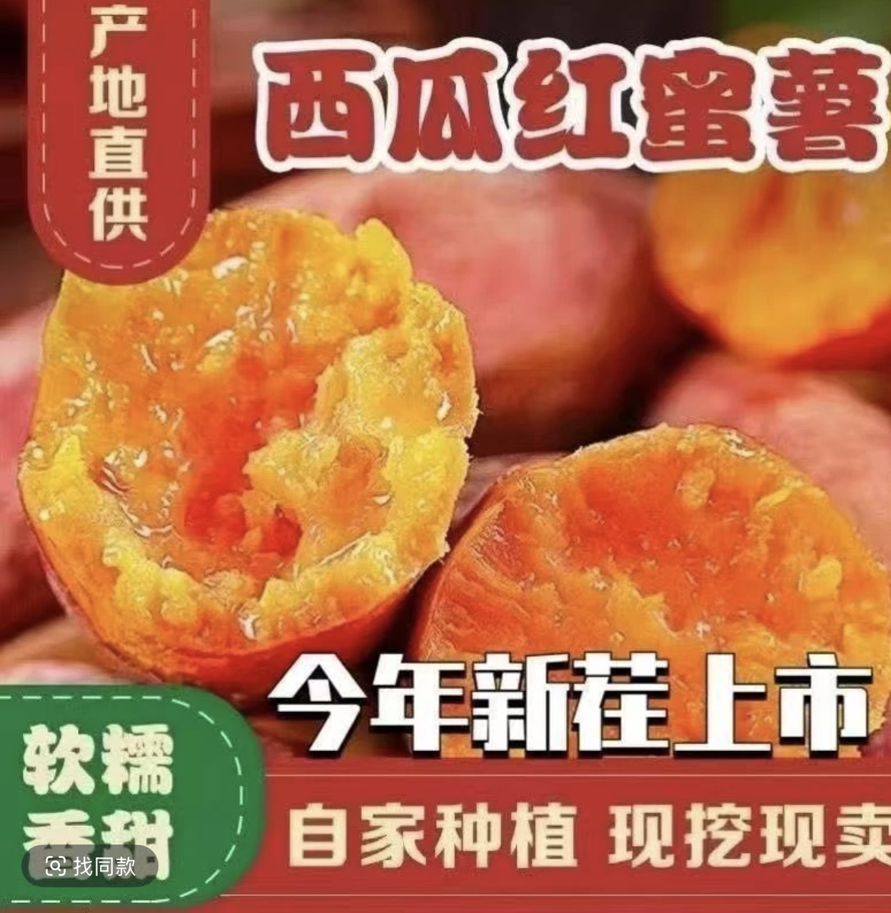 贵州高山现挖正宗西瓜红蜜薯黄心板栗薯脆甜粉糯