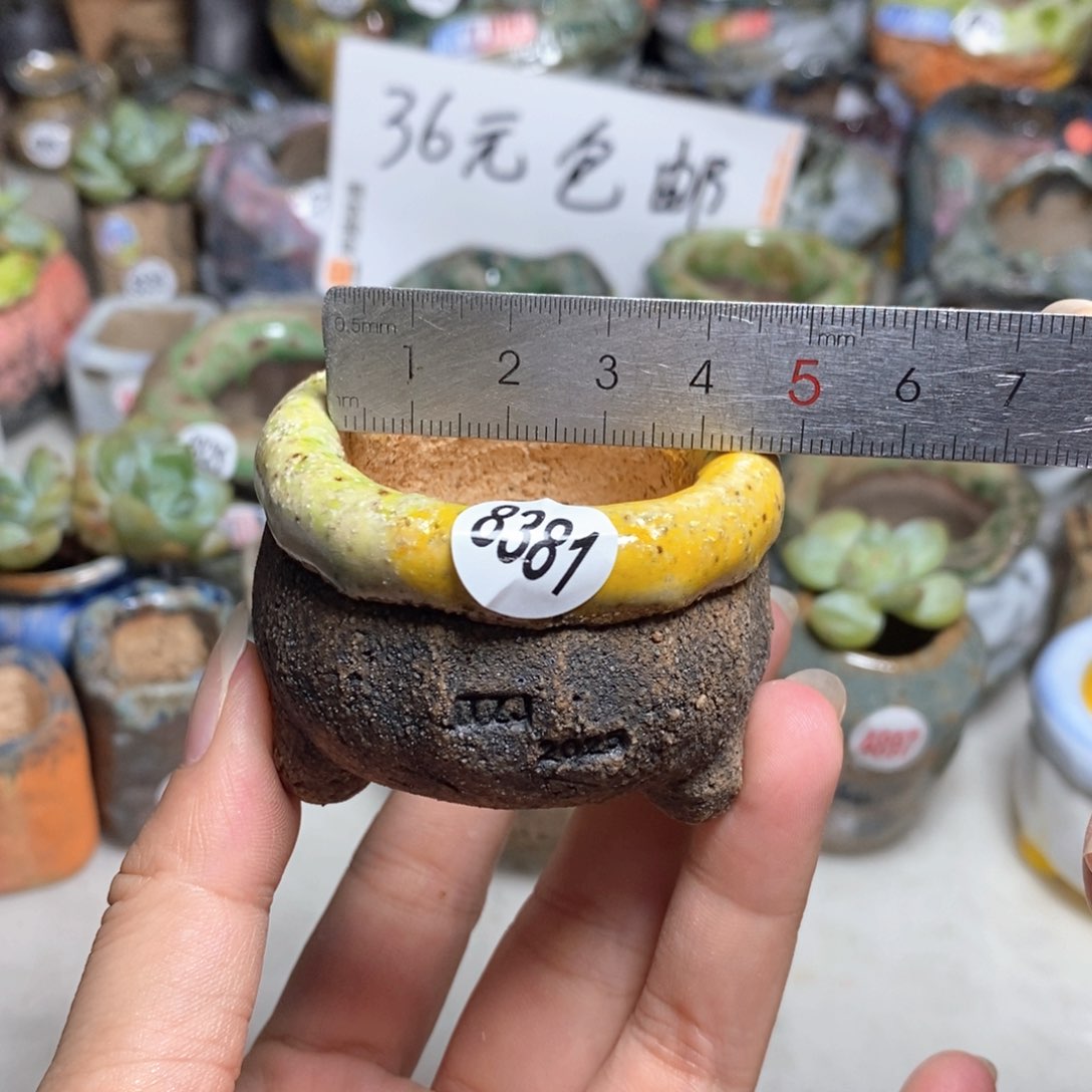 拍3送一个小礼物