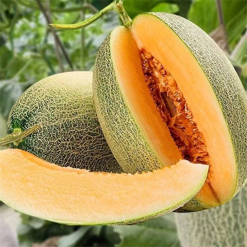 【整果】金海密瓜半个约1000g13.8元/份