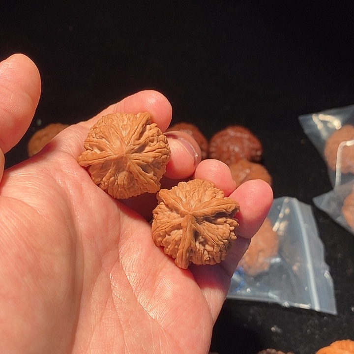 z**Z御龙粗筋正球奔精品