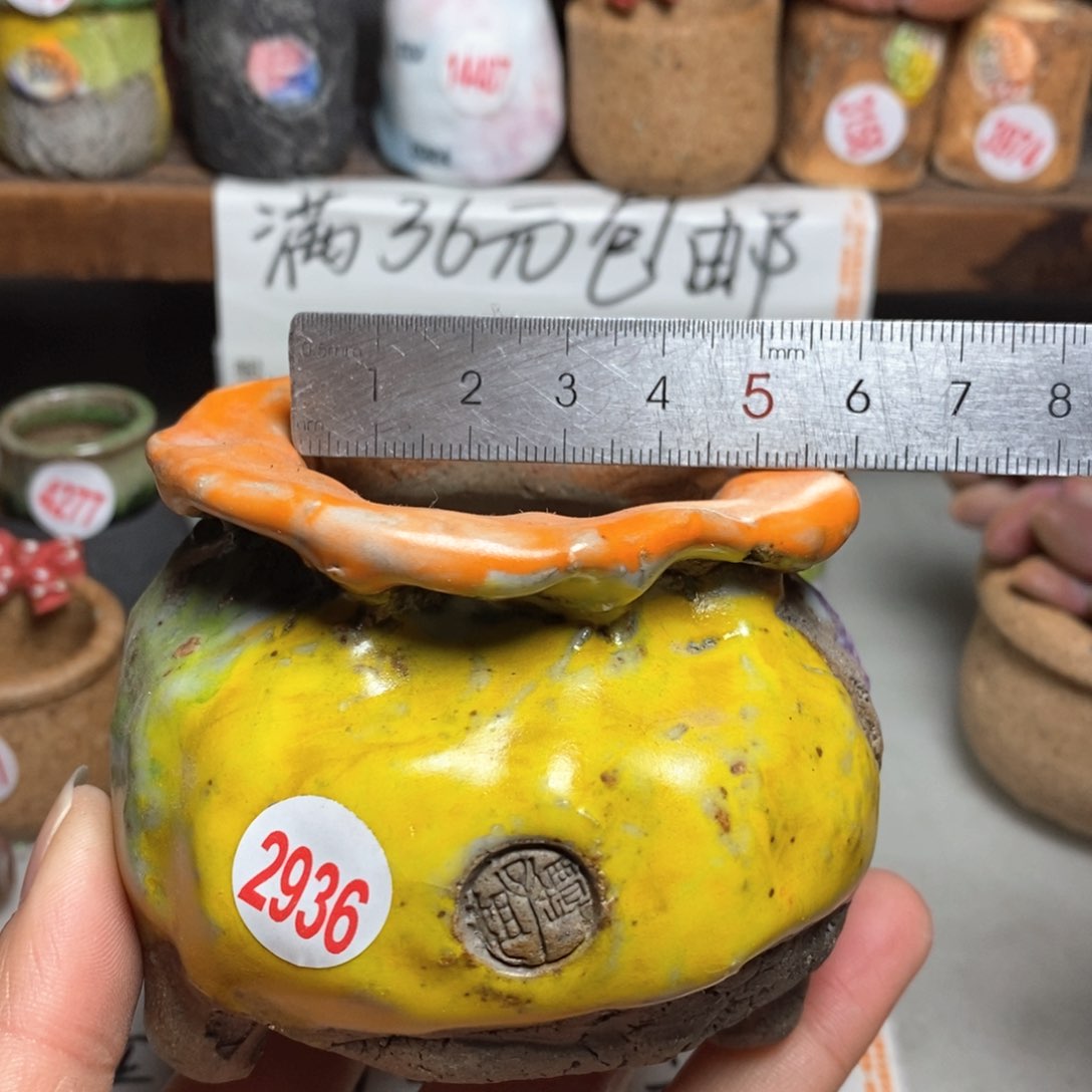 红陶拍5送一个小