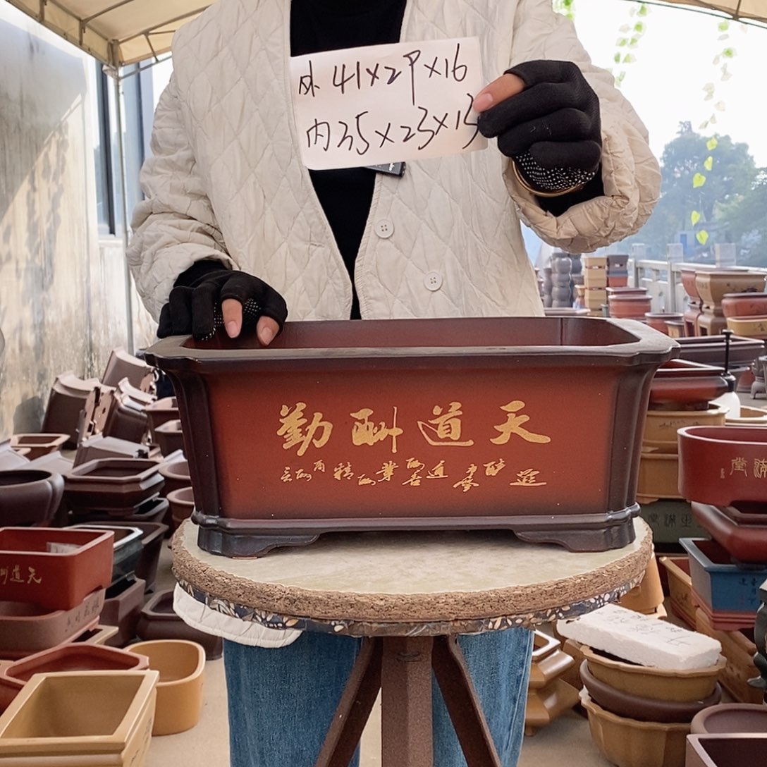 紫砂花盆紫砂花盆