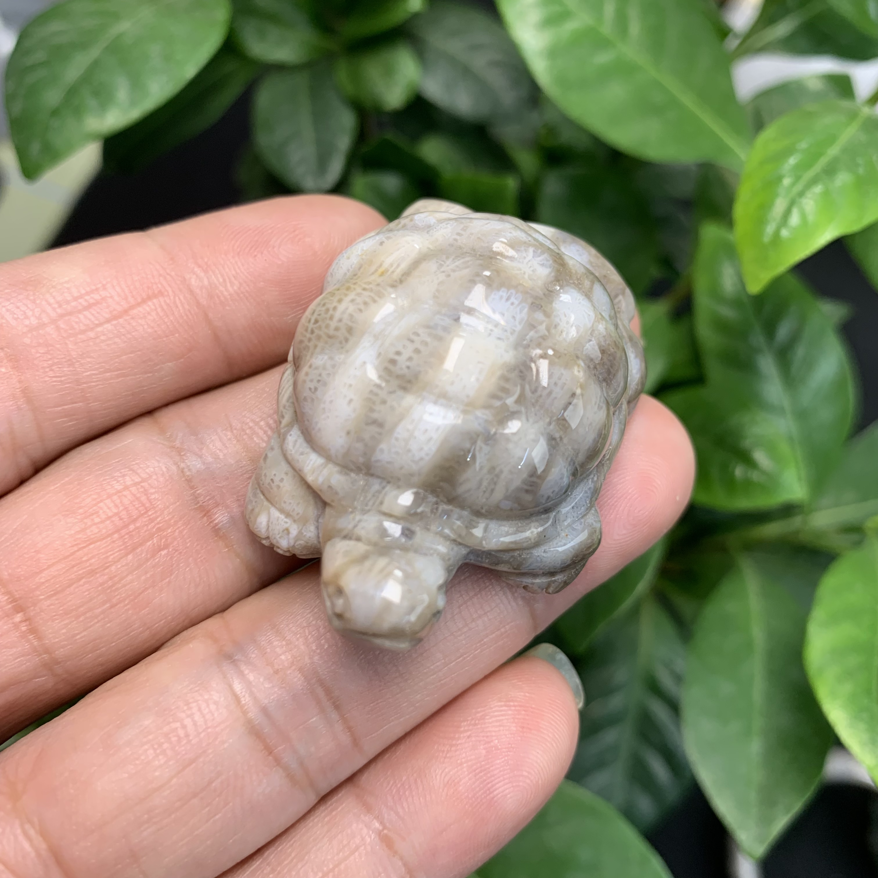 亿年花天然珊瑚玉冰料小雏菊花雕刻项坠挂件手把件