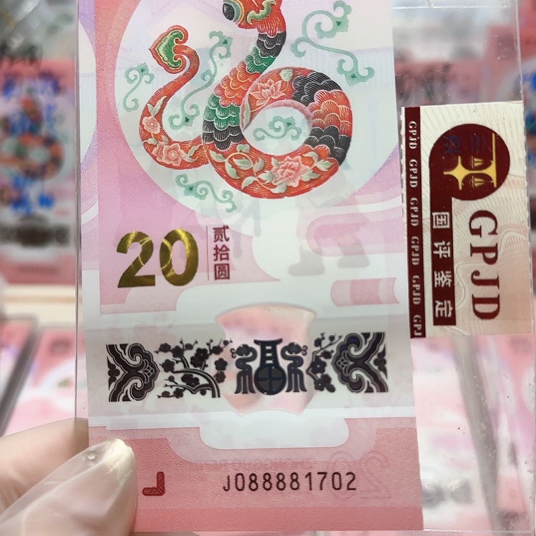 纸088881702。。。。。。。。