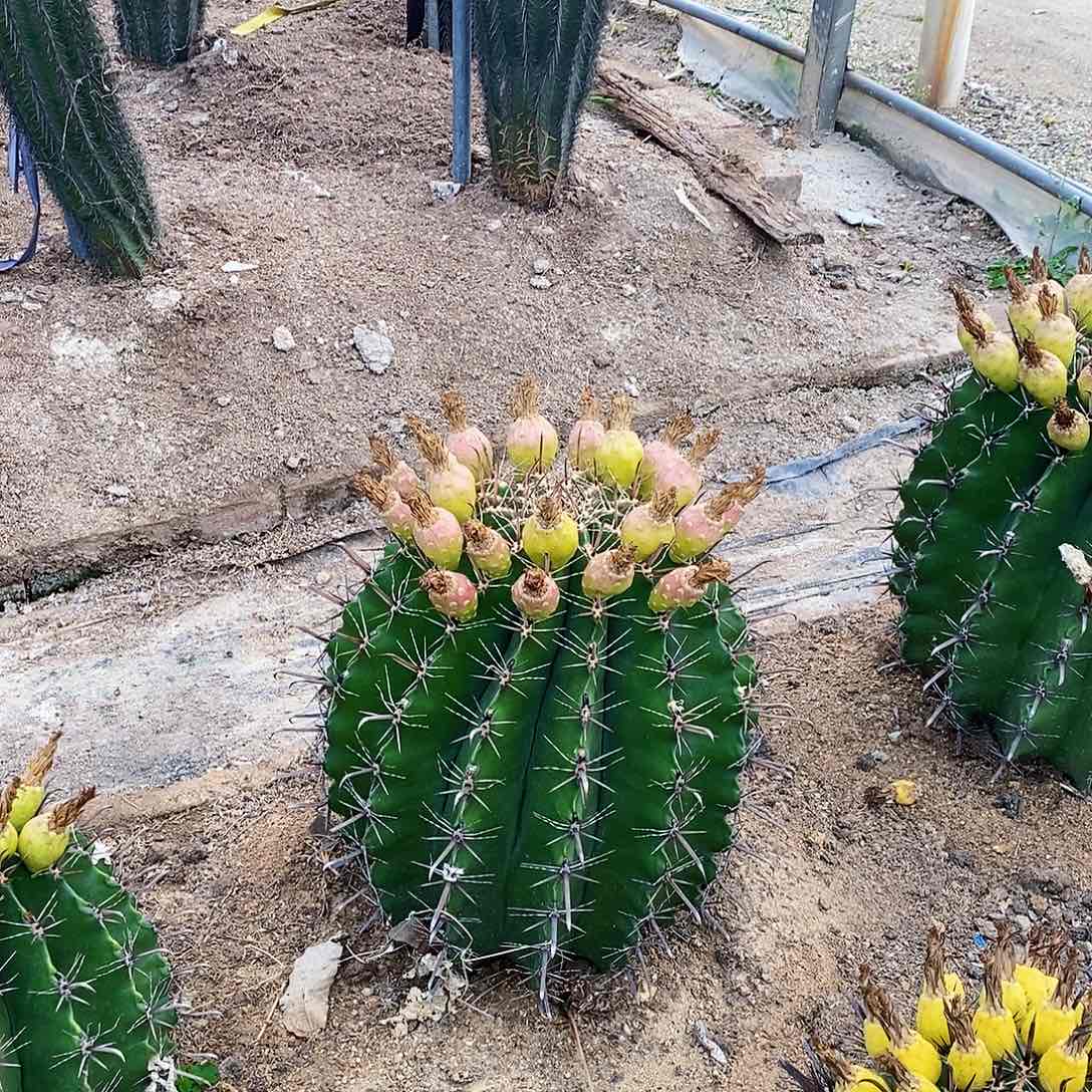 嬲*00000000000000000000