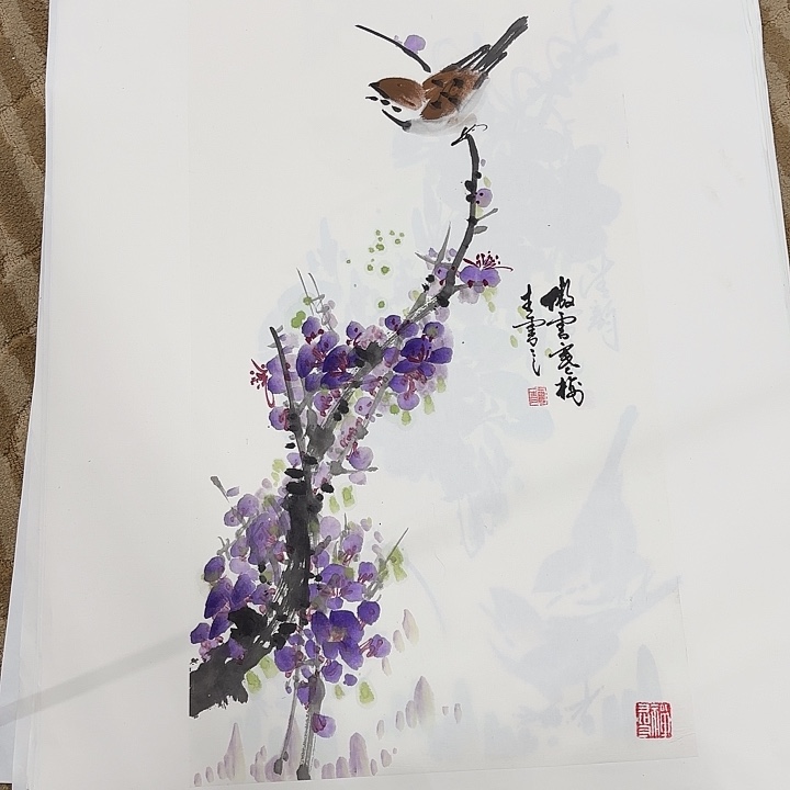 国画花鸟等多种鸟类和鸟类的