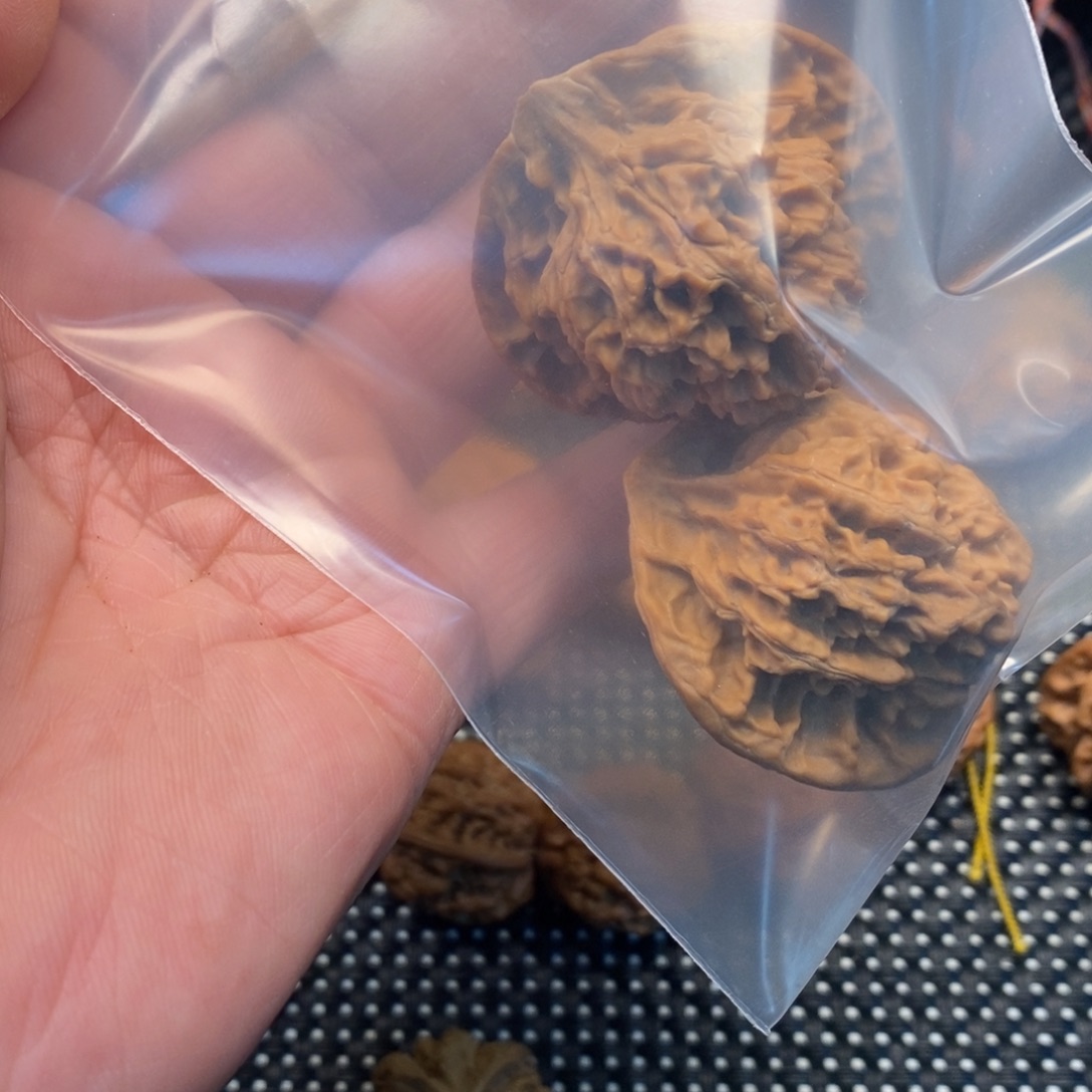 飞***扬秦岭森林中发现两条