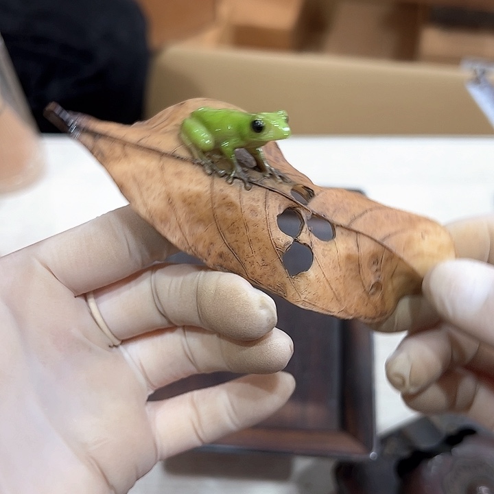 墨****来新亿阁中古商品无售后