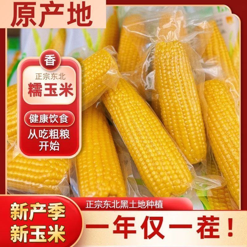 25年东北玉米黄糯玉米软糯香甜真空锁鲜均重280-320g大棒