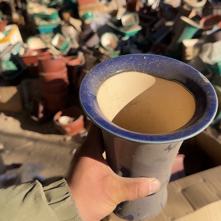 在这里我们都在寻找答案呀这不正是你们期待