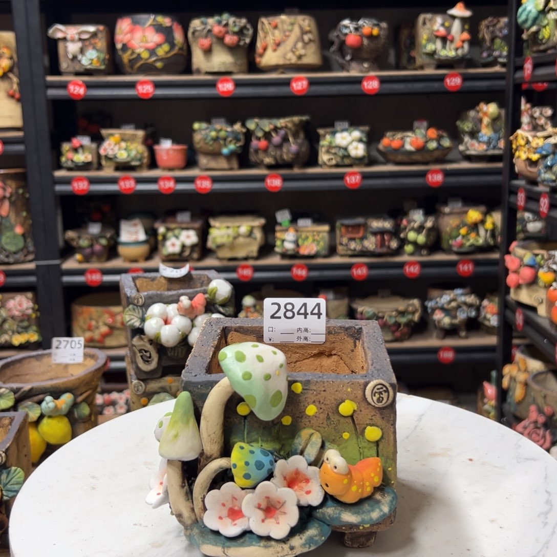 2844 号盆，口9高10.5