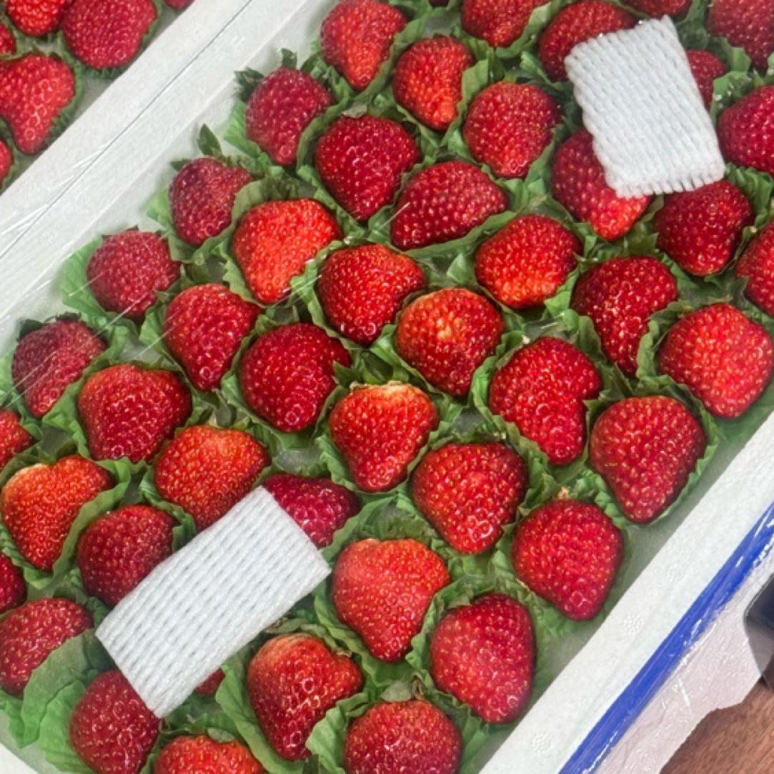丹东99品种大板草莓产地丹东新鲜水果北京市