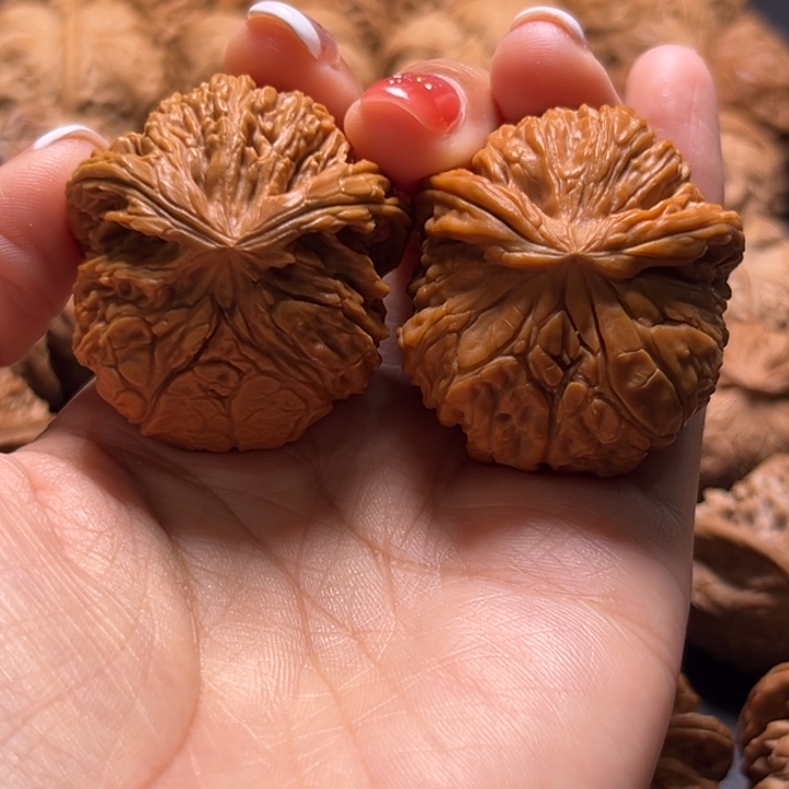 三*街南疆石小蛇核桃哈哈哈哈哈哈哈哈