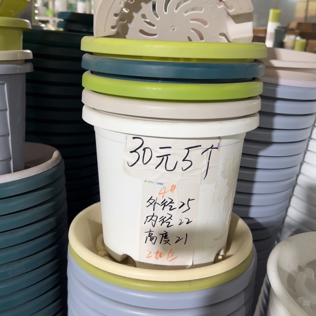 四季4#口径25无拖果绿8个