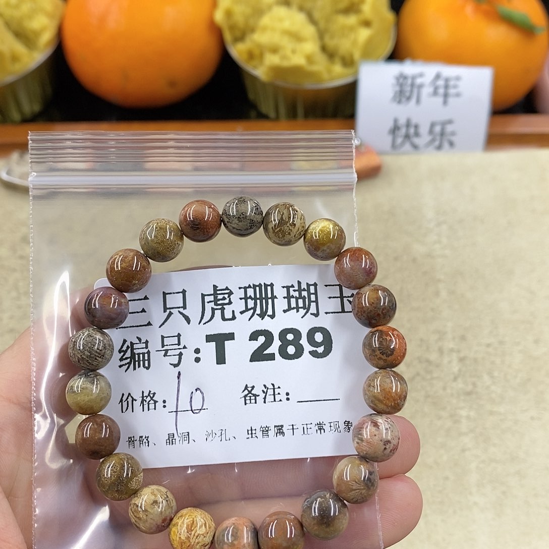 硅化珊瑚（珊瑚玉）1未镶嵌庸*