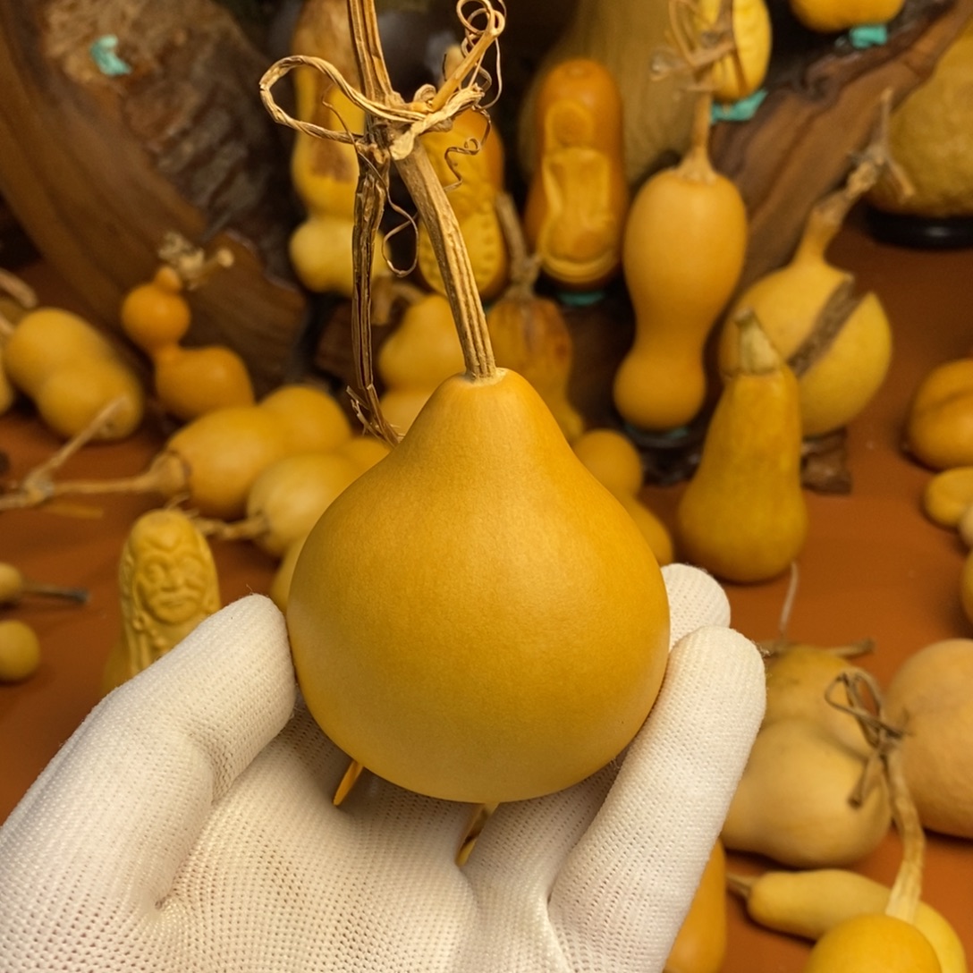 朱***朱教练咯教练教练教练咯