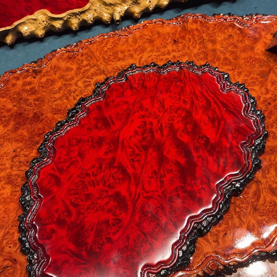 黄金樟干泡开啊啦啦