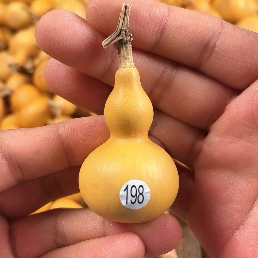 二葫芦葫芦葫芦198