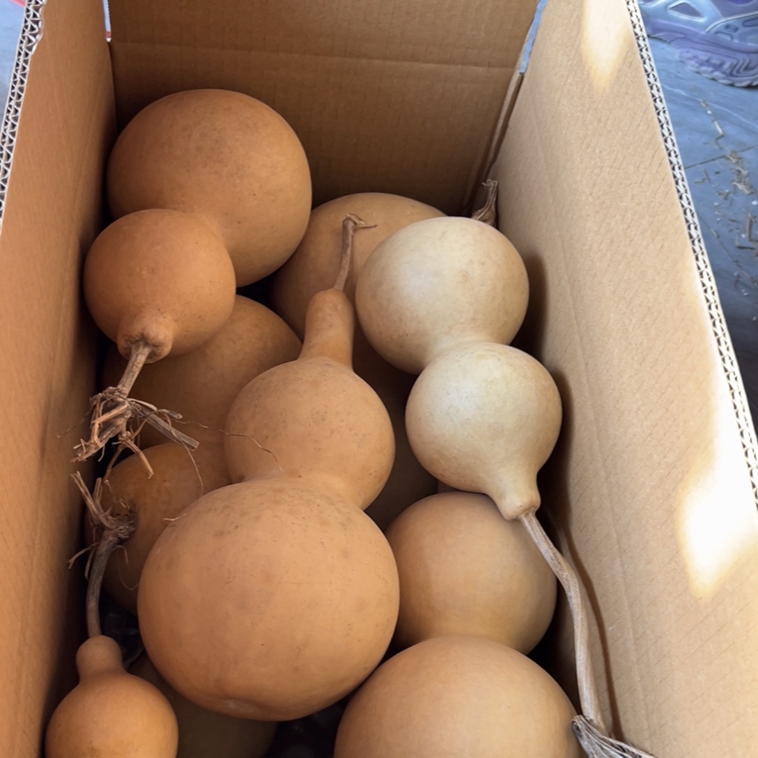 1***6有机玻璃葫芦葫芦