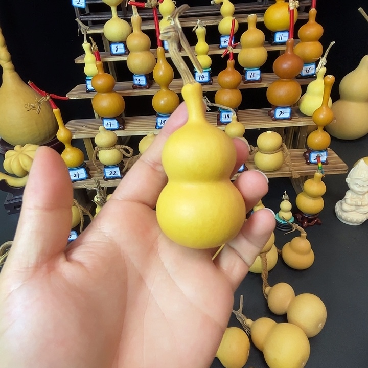 w***y啦啦啦啦啦啦啦啦啦啦啦啦