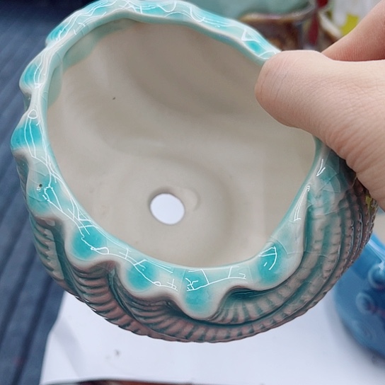 多肉绿植陶瓷花盆