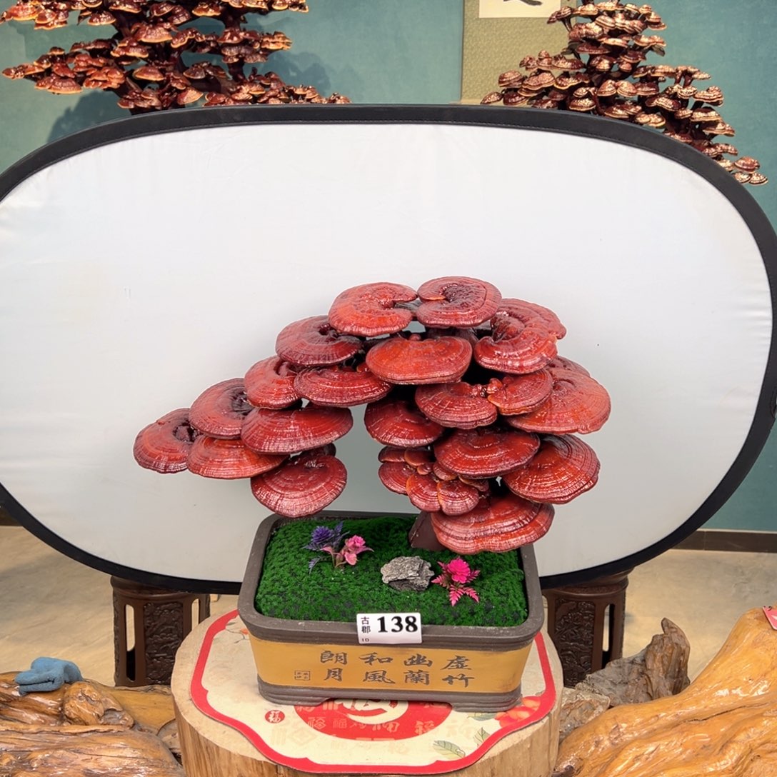 ****』无花朵8688888888