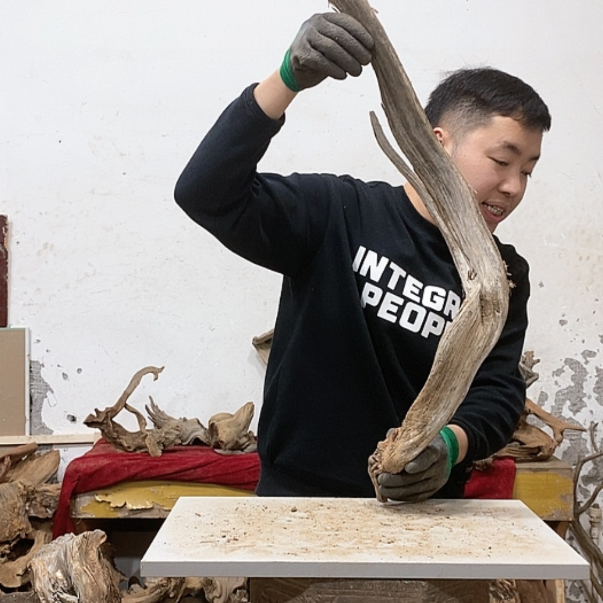 【闪购商品】柏木G我们都是好孩子