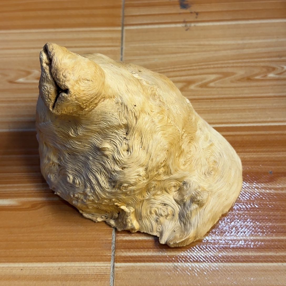 荔枝木V**秀荔枝树香炉4689991