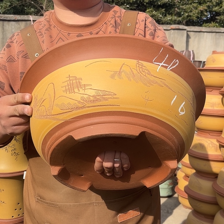 紫砂紫砂花盆盆栽