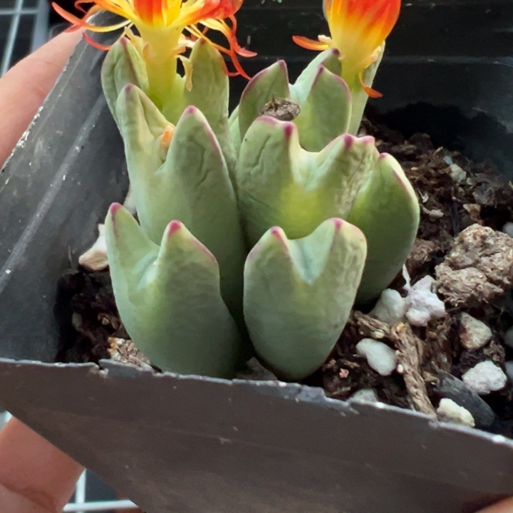 289号，11111111111111