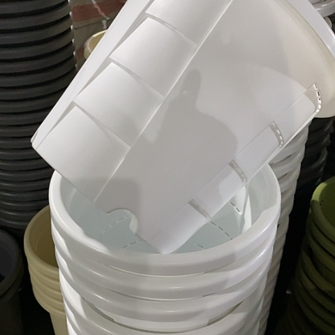 树脂编号803无托