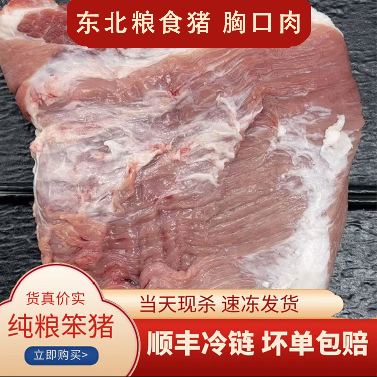 新鲜 胸口肉5斤 东北粮食猪（鲜货速冻发每单重量误差±50g左右）