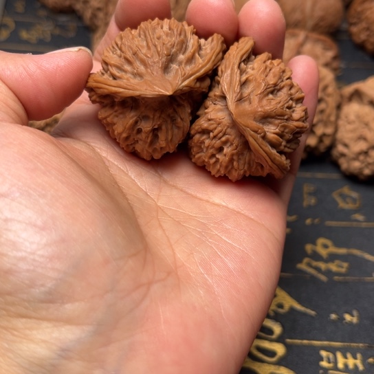 盘龙纹双蛇全品无修