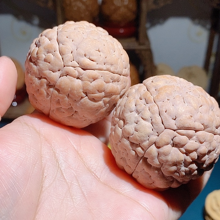 野生三瓣脑纹大金刚练手对