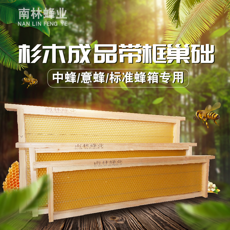 中蜂巢础巢框蜂巢八千巢础意蜂成品全套带框蜜蜂巢脾蜂箱养蜂工具