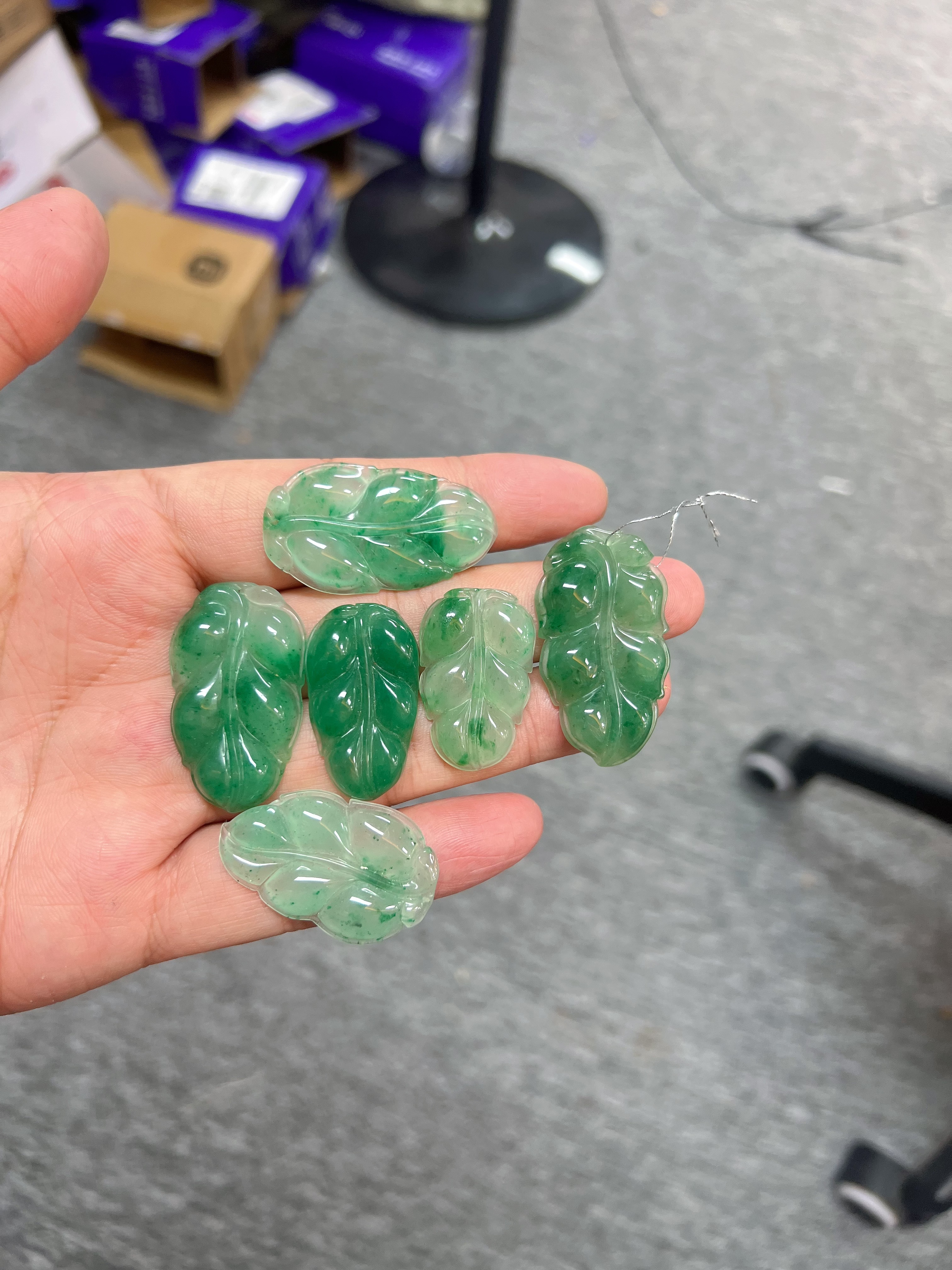 福袋天然非洲翠叶子+随机多样性发其一