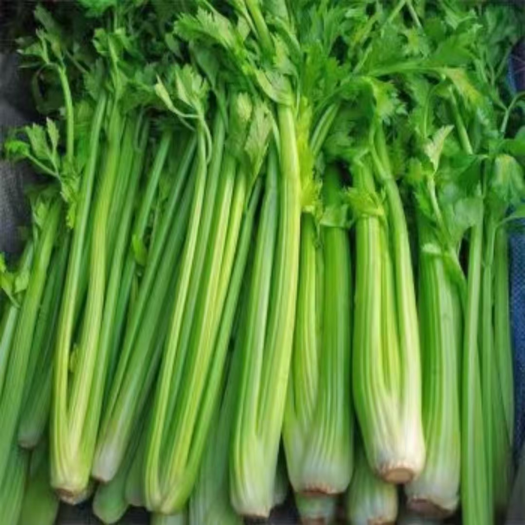 【包邮】带头带叶小西芹