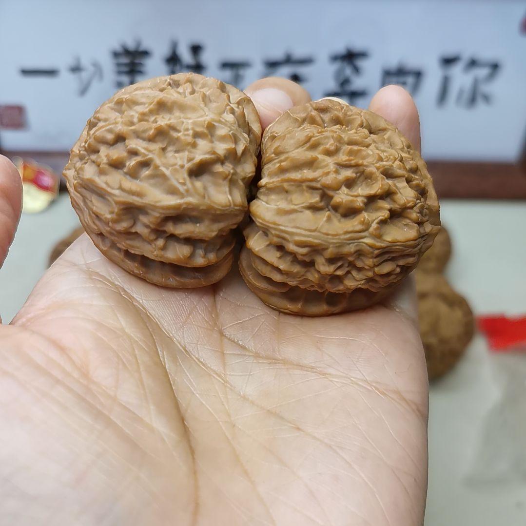 42尺全品三角白狮子  走色漂亮骨质好