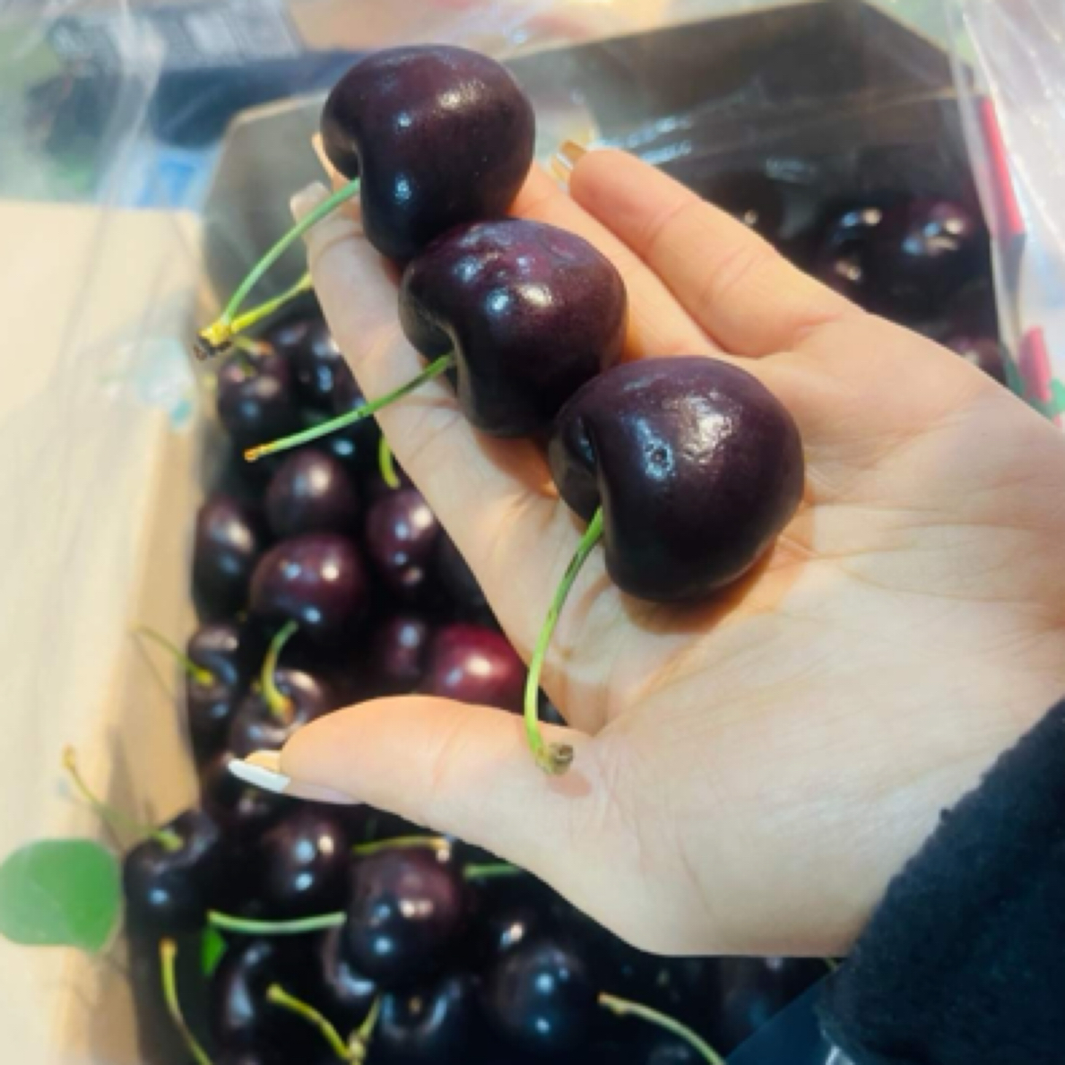 空运桑提娜 车厘子 2JD 5斤原装箱 内附果径卡桑提娜智利