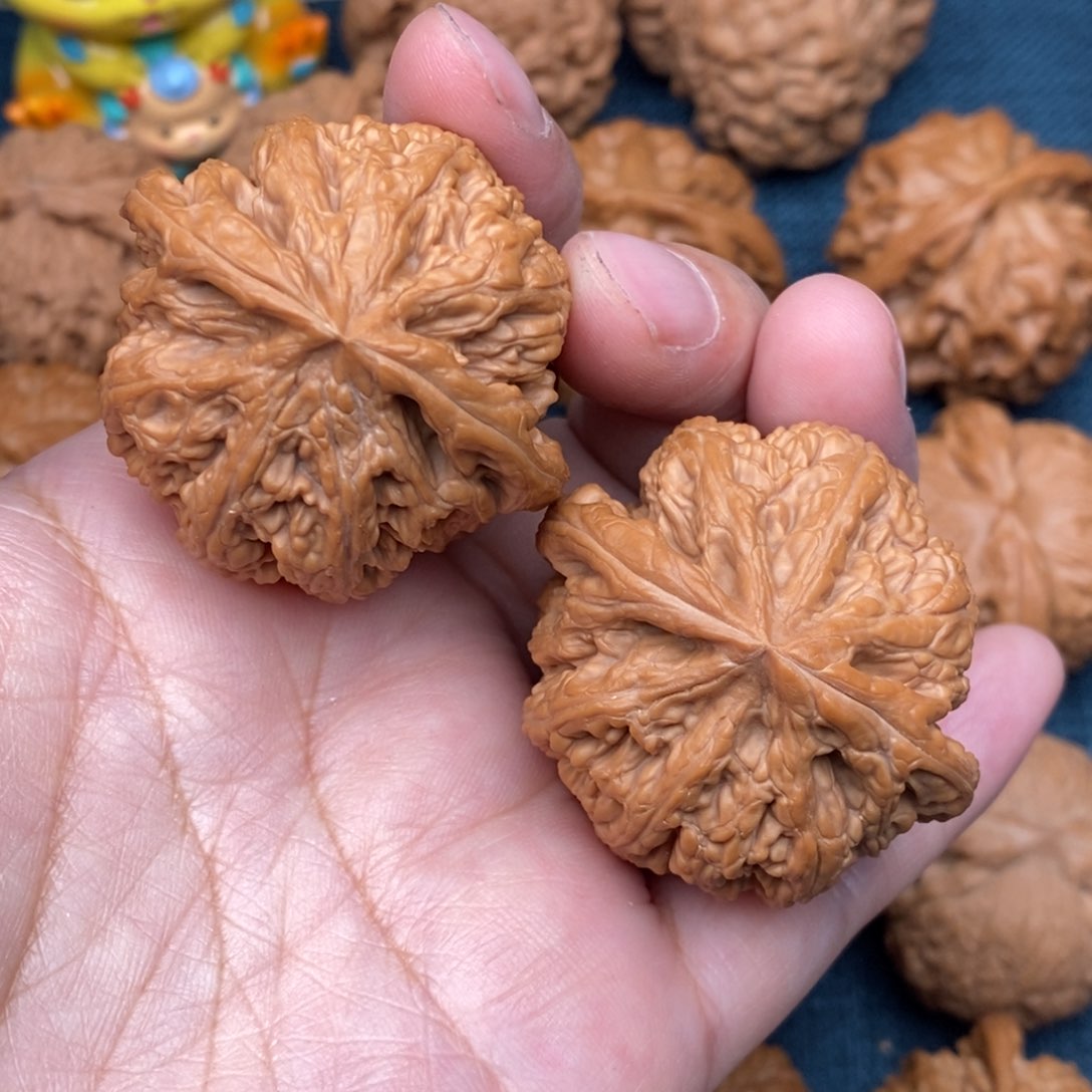 文玩核桃把件41精品粗筋全品