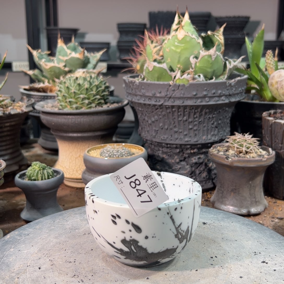 景德镇手工素里口9高6.5