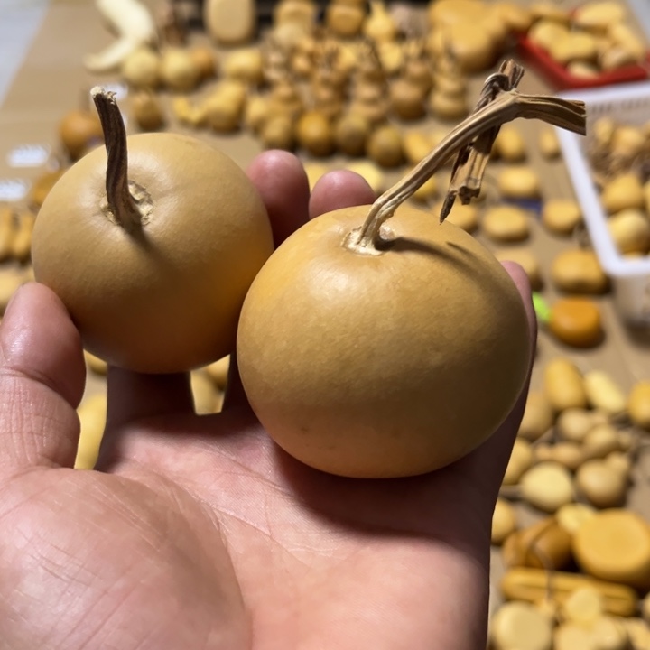 葫芦A****发苹果不退不换