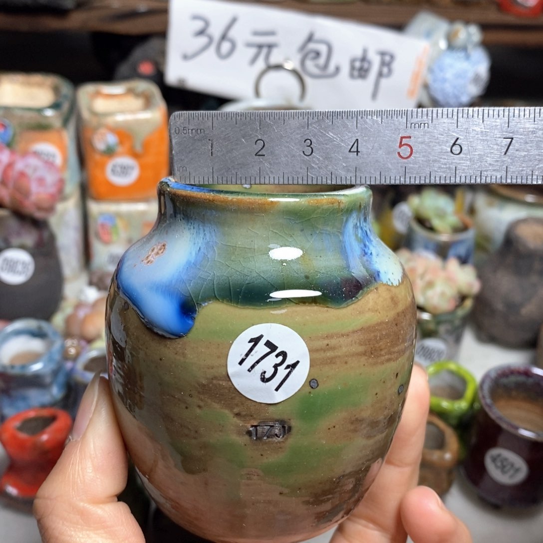 特价花盆处理，不退不换，原28元