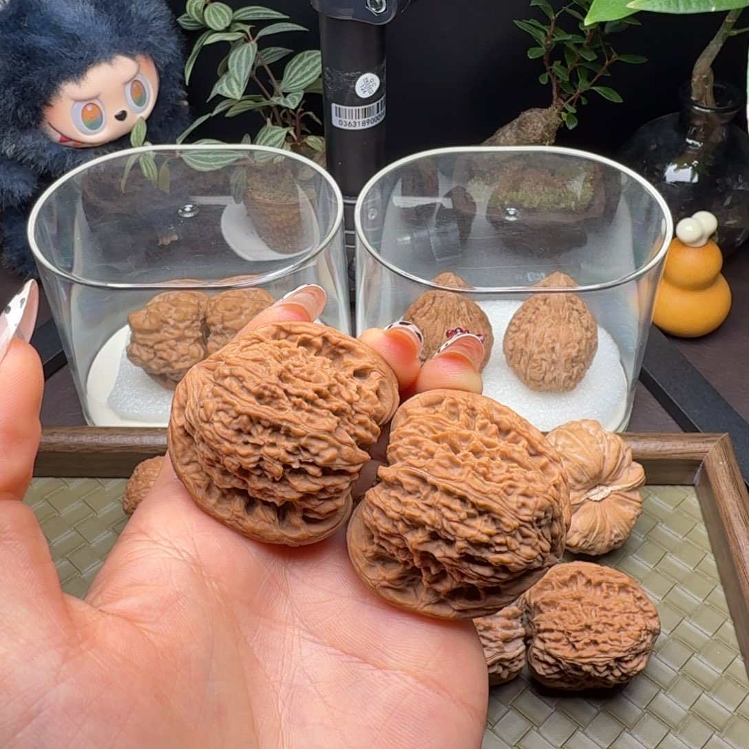 夜***歌核桃全品涿鹿南疆43