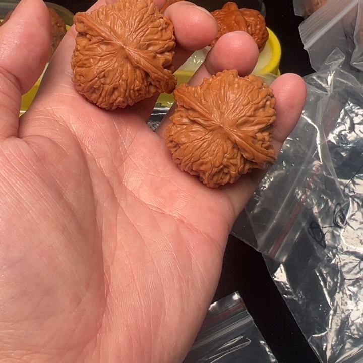 核桃42蝴蝶磨，42已打底，全品