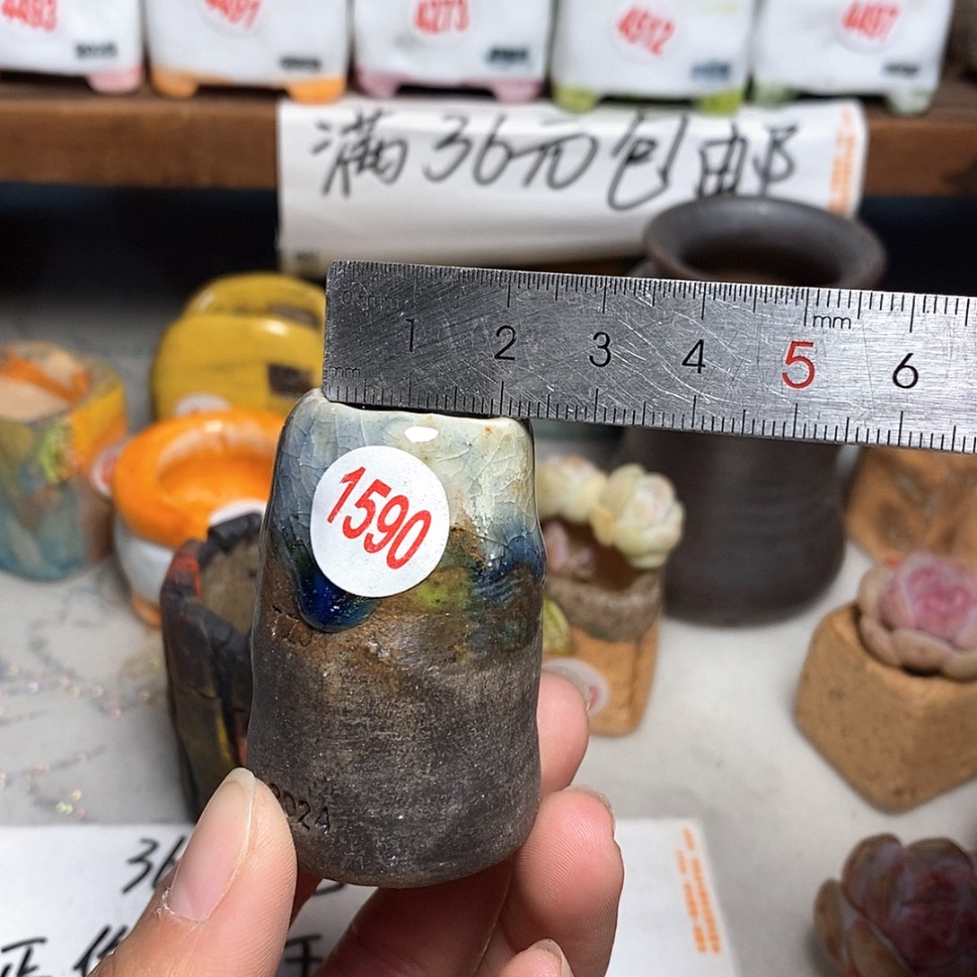 红陶拍5送一个小