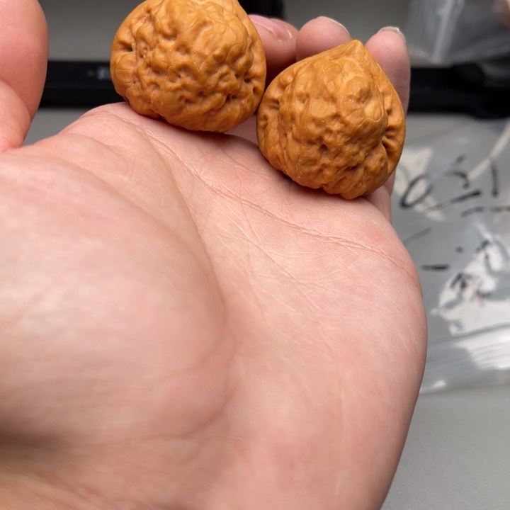 文玩核桃把件古禅