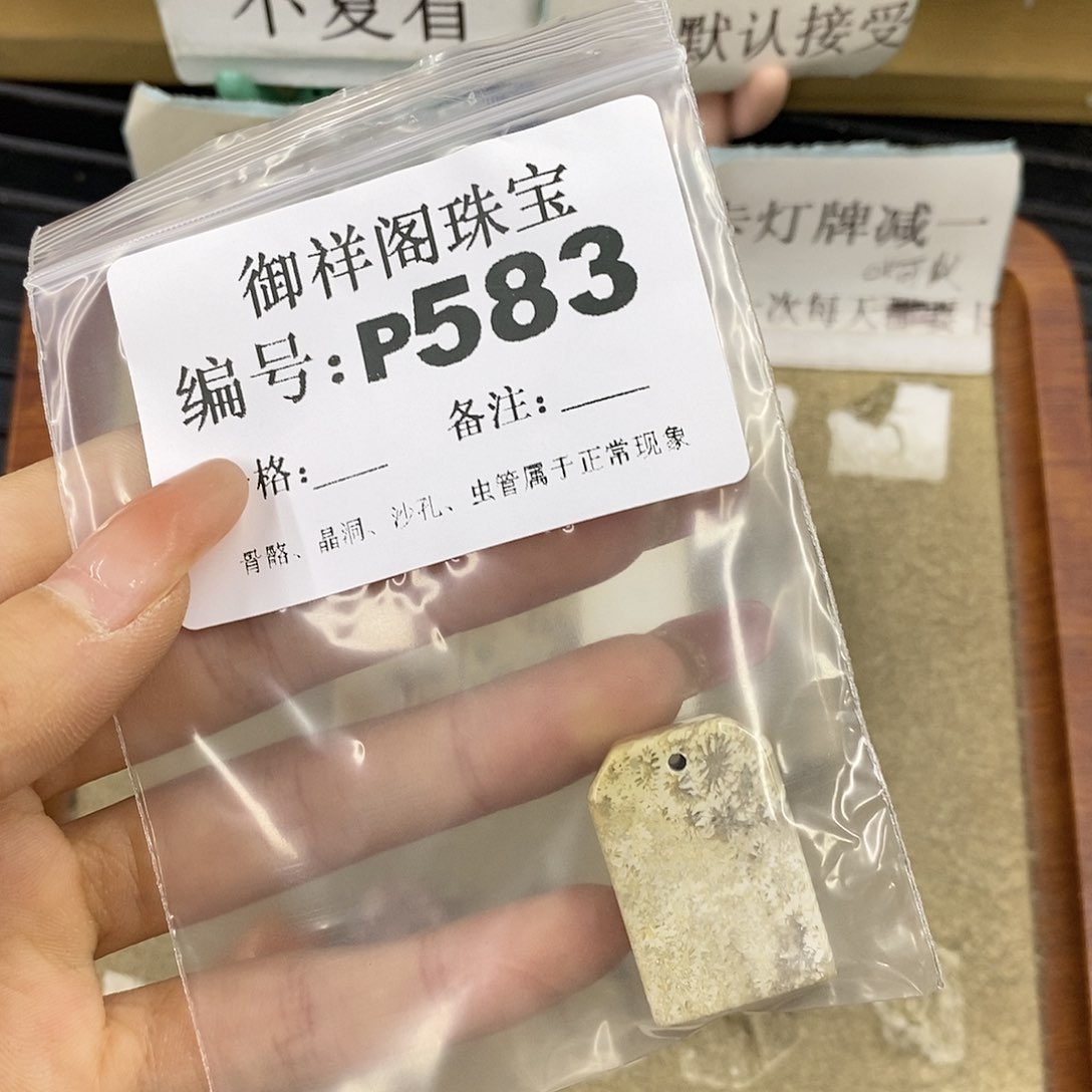 硅化珊瑚（珊瑚玉）未镶嵌颈饰小****.