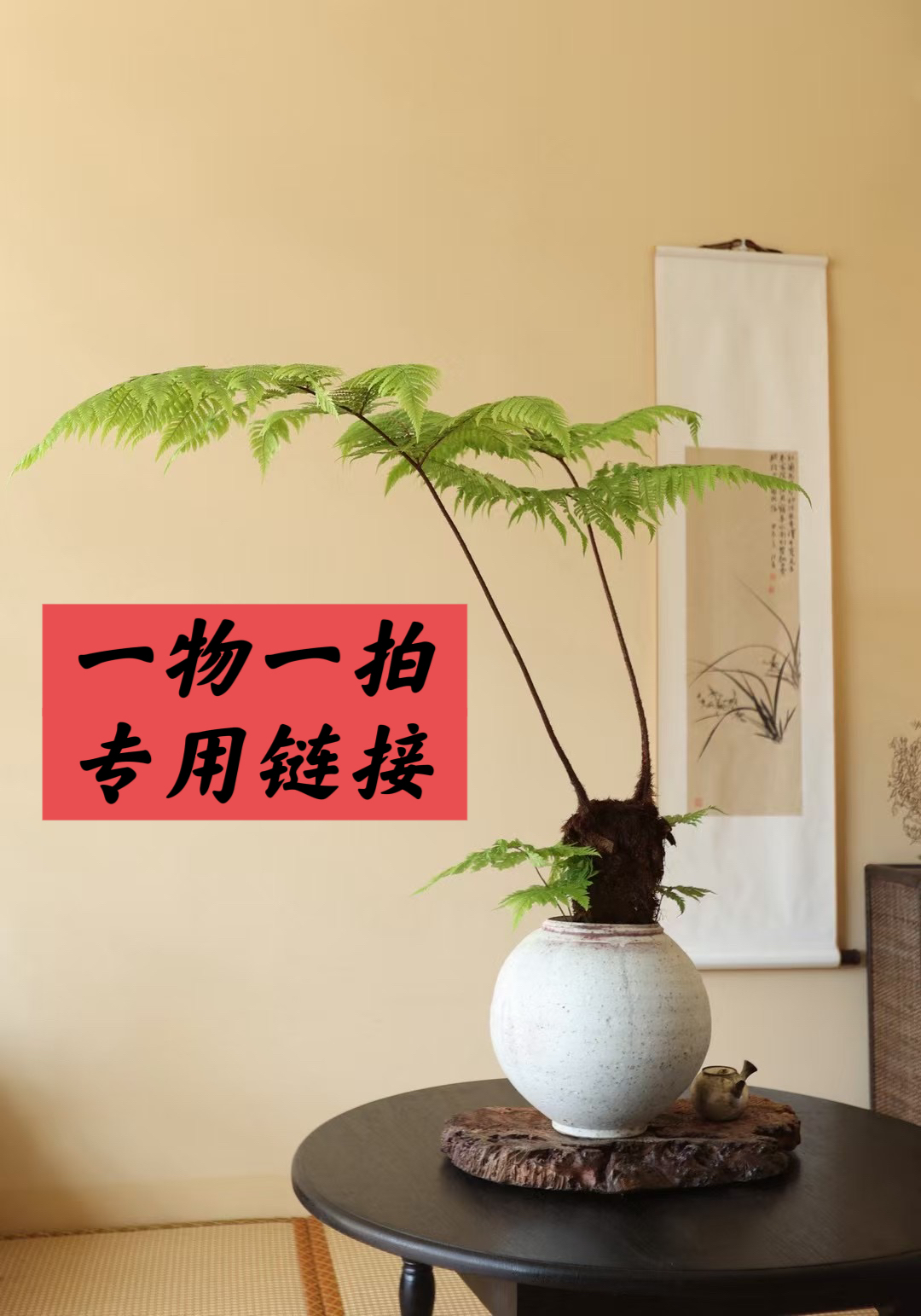 补差价专拍    2 不补勿拍不补勿拍不补勿拍不补勿拍不补勿拍头花